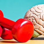 Brain or muscles, what do we lose first?